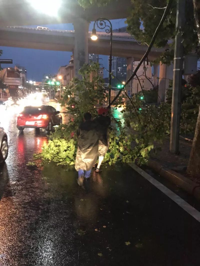 2024年辽宁暴雨最新消息与神秘小巷美食探秘，暴雨背后的隐藏瑰宝