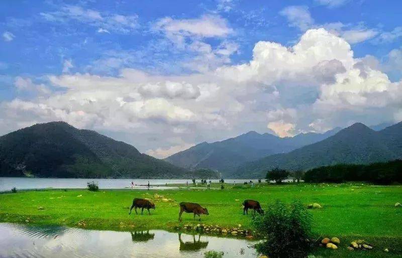 广州草芳围十一月探秘，自然美景的心灵之旅启程