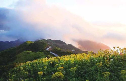 武山秘境探寻之旅，自然美景与内心宁静的港湾（11月16日武山新闻）