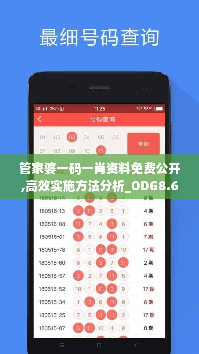 管家婆一码一肖资料免费公开,高效实施方法分析_ODG8.67.55日常版