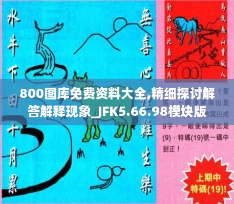 800图库免费资料大全,精细探讨解答解释现象_JFK5.66.98模块版