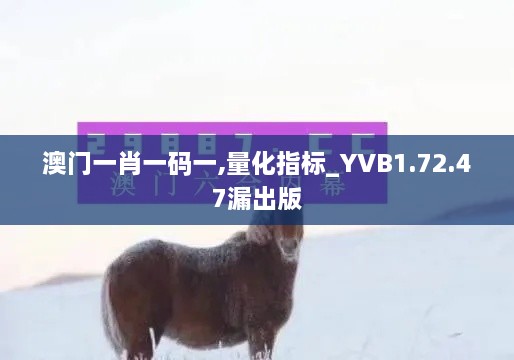 澳门一肖一码一,量化指标_YVB1.72.47漏出版