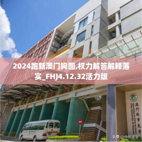 2024跑新澳门狗图,权力解答解释落实_FHJ4.12.32活力版