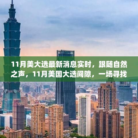 11月美国大选最新动态与绿色心灵之旅的双重关注