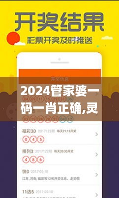 2024管家婆一码一肖正确,灵活操作方案设计_HPI8.27.59白银版