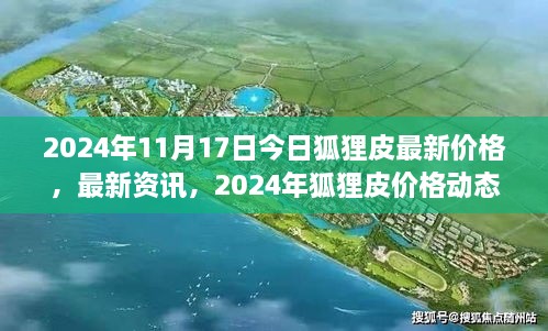 2024年狐狸皮市场最新动态，今日价格分析与市场分析