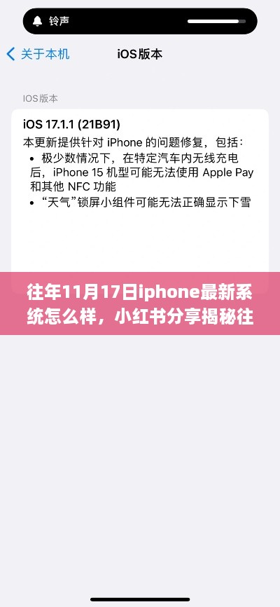 揭秘往年11月17日iPhone最新系统，小红书分享体验超乎想象！