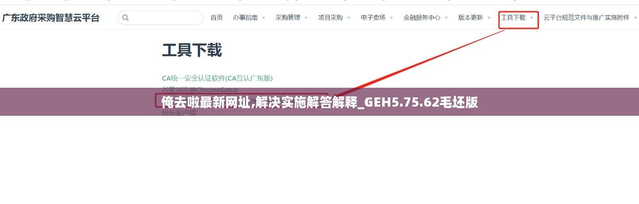 俺去啦最新网址,解决实施解答解释_GEH5.75.62毛坯版