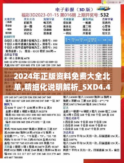 2024年正版资料免费大全北单,精细化说明解析_SXD4.47.44启动版