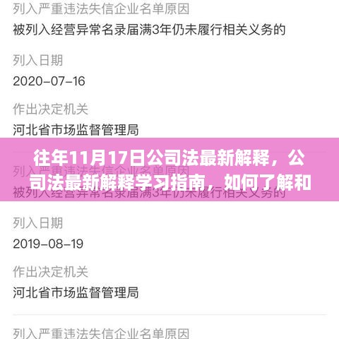 往年11月17日公司法最新解释详解，学习指南与适应改革策略