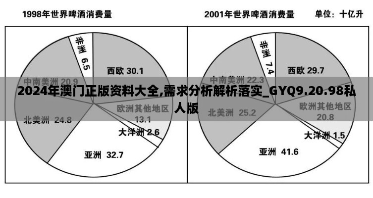 2024年澳门正版资料大全,需求分析解析落实_GYQ9.20.98私人版