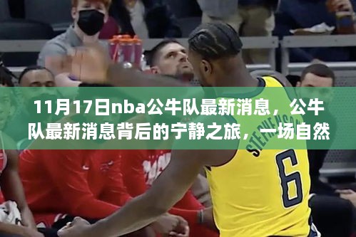 NBA公牛队最新动态，宁静之旅背后的美景呼唤与心灵出走