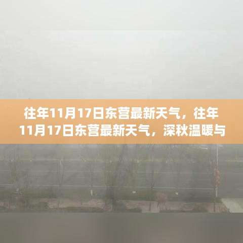 往年11月17日东营深秋初冬交替时的微妙天气变化