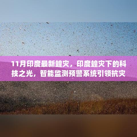 印度蝗灾下的科技之光，智能监测预警系统引领抗灾新纪元