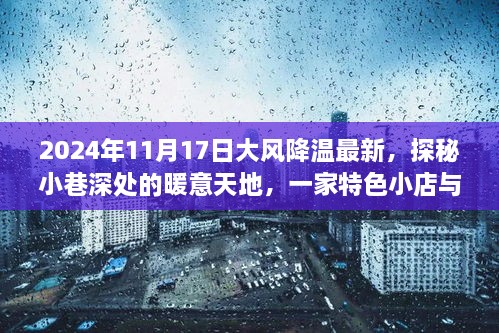 探秘小巷深处的暖意天地，特色小店与大风降温的奇妙邂逅，2024年最新报道