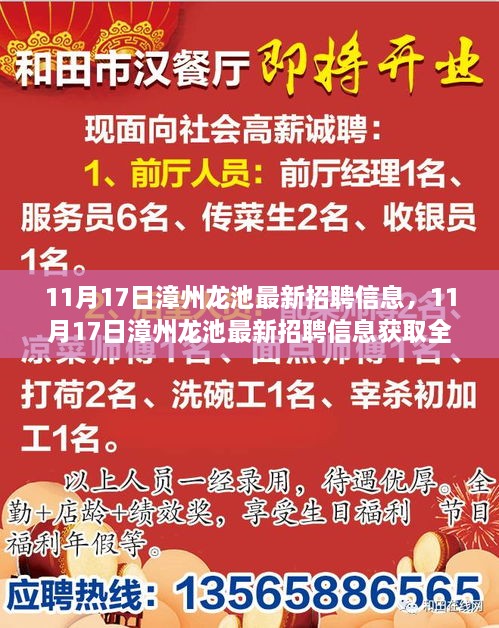 11月17日漳州龙池最新招聘信息获取攻略，轻松求职全指南