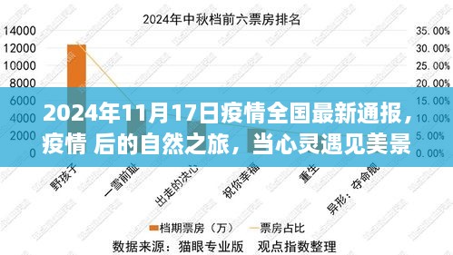 疫情后的自然之旅，心灵遇见美景的最新通报（2024年11月17日）