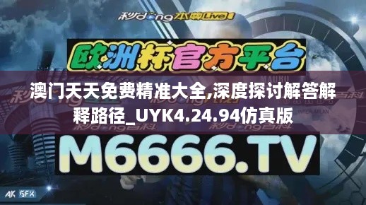 澳门天天免费精准大全,深度探讨解答解释路径_UYK4.24.94仿真版