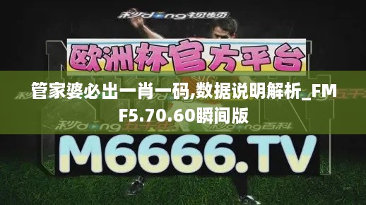 管家婆必出一肖一码,数据说明解析_FMF5.70.60瞬间版