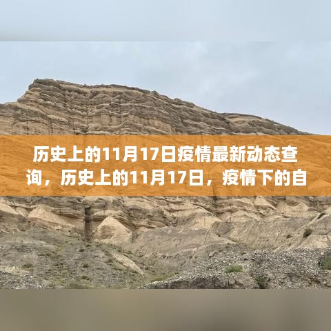 历史上的11月17日，疫情动态与美景之旅的双重探寻，寻找内心的宁静与平和