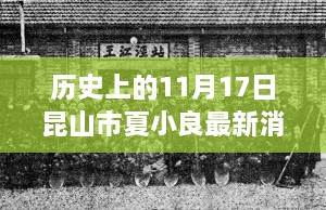 历史上的11月17日与昆山市夏小良最新进展全面评测介绍