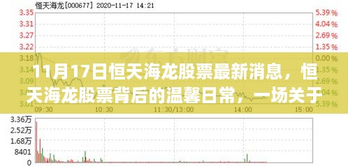 恒天海龙股票最新动态，友情与陪伴的奇妙旅程背后的温馨日常