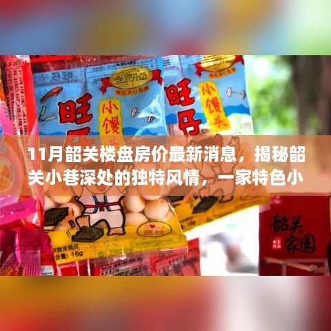 韶关楼盘房价最新动态与小巷风情揭秘，特色小店与房价的碰撞