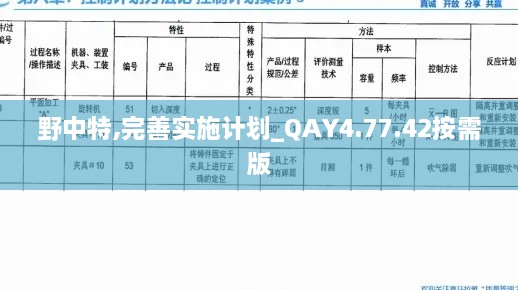 野中特,完善实施计划_QAY4.77.42按需版