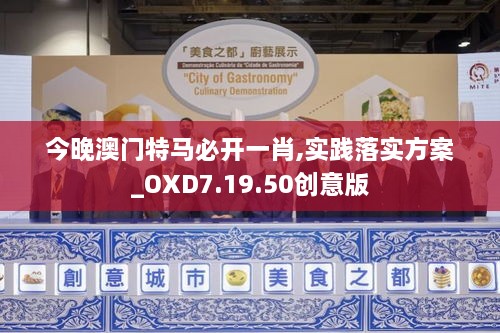 今晚澳门特马必开一肖,实践落实方案_OXD7.19.50创意版