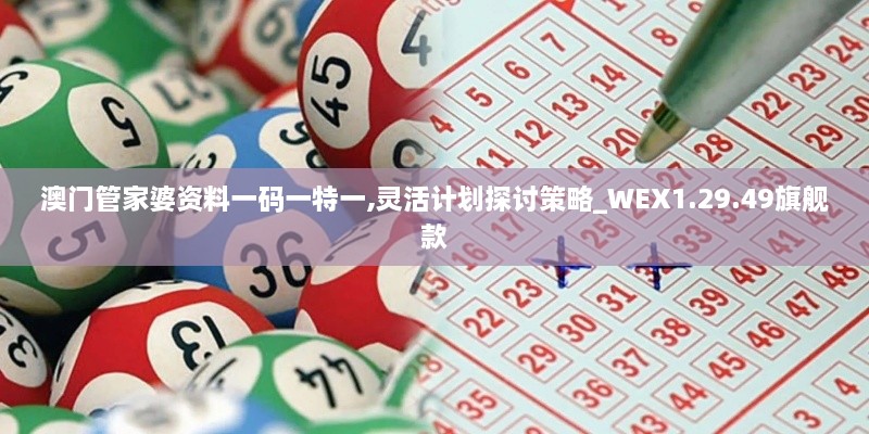 澳门管家婆资料一码一特一,灵活计划探讨策略_WEX1.29.49旗舰款