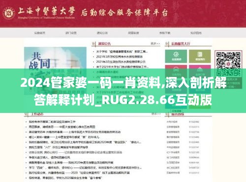 2024管家婆一码一肖资料,深入剖析解答解释计划_RUG2.28.66互动版