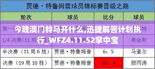 今晚澳门特马开什么,迅捷解答计划执行_WFZ4.11.52掌中宝