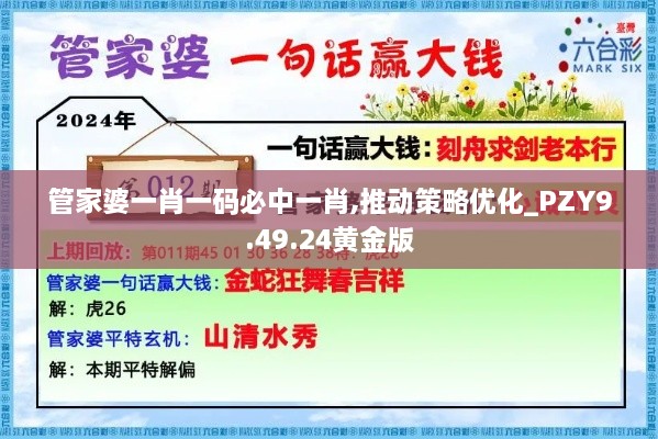 管家婆一肖一码必中一肖,推动策略优化_PZY9.49.24黄金版