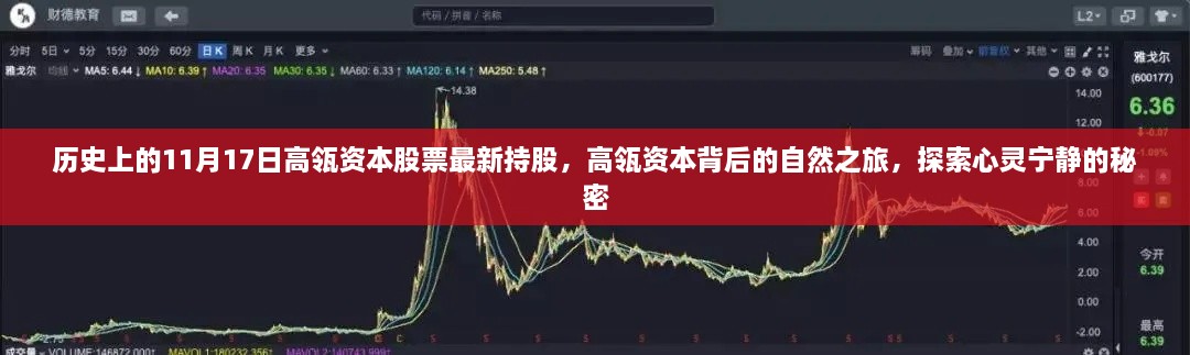 高瓴资本股票最新动态，历史持股回顾与心灵宁静背后的自然之旅探索
