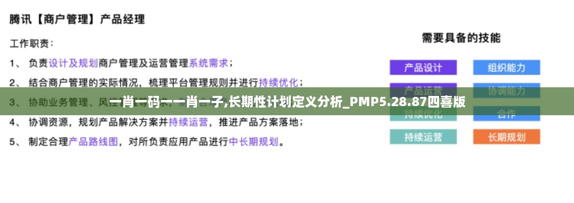 一肖一码一一肖一子,长期性计划定义分析_PMP5.28.87四喜版