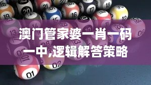 澳门管家婆一肖一码一中,逻辑解答策略解析解释_YDS4.66.74企业版