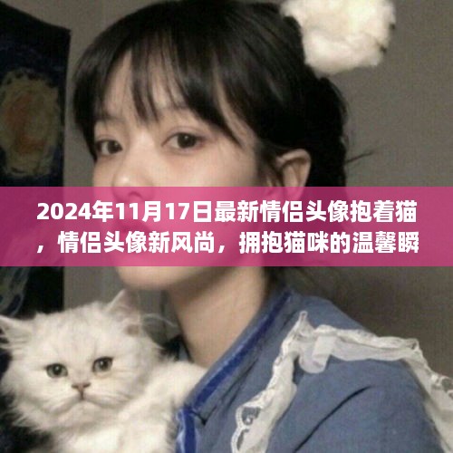 2024年情侣头像新风尚，拥抱猫咪的温馨瞬间大盘点