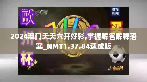 2024澳门天天六开好彩,掌握解答解释落实_NMT1.37.84速成版