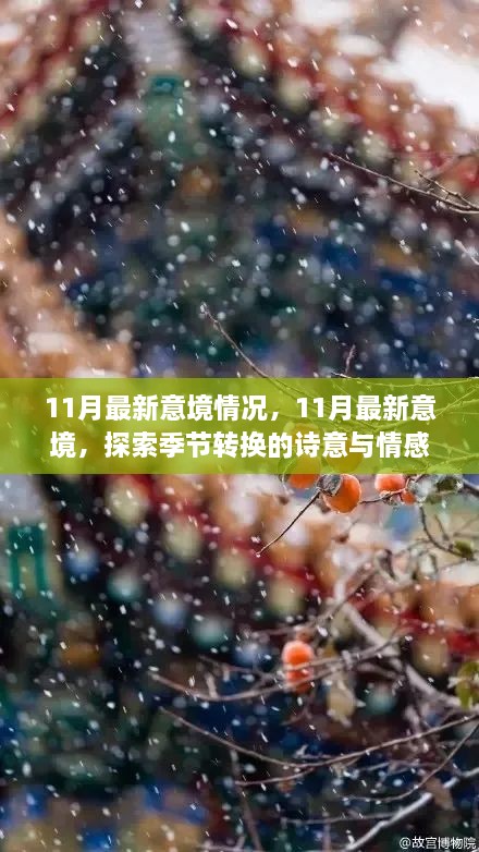 11月季节转换的诗意与情感探索，最新意境概览