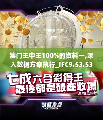 澳门王中王100%的资料一,深入数据方案执行_IFC9.53.53跨平台版