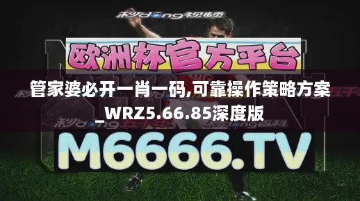 管家婆必开一肖一码,可靠操作策略方案_WRZ5.66.85深度版