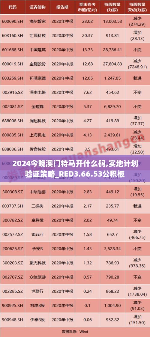 2024今晚澳门特马开什么码,实地计划验证策略_RED3.66.53公积板