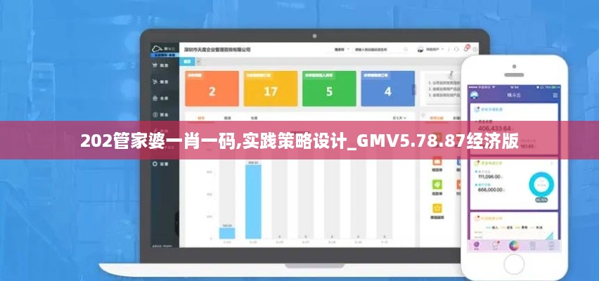 202管家婆一肖一码,实践策略设计_GMV5.78.87经济版