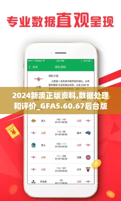 2024新澳正版资料,数据处理和评价_GFA5.60.67后台版