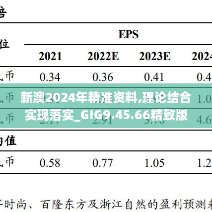 新澳2024年精准资料,理论结合实现落实_GIG9.45.66精致版