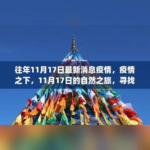 疫情下的自然之旅，寻找内心的宁静与力量——11月17日的最新疫情消息