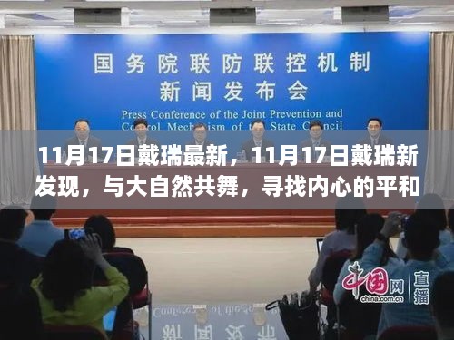 戴瑞最新发现，与大自然共舞，寻找内心的平和乐土（11月17日更新）