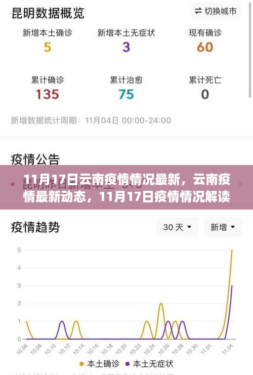 11月17日云南疫情最新动态及解读，防疫任务指南