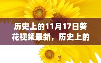 历史上的11月17日与葵花视频背后的故事与影响揭秘