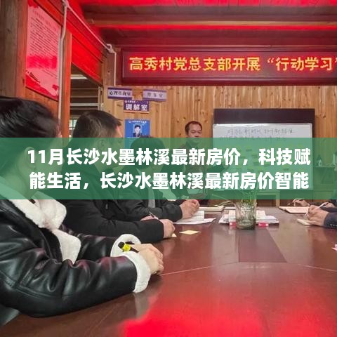 长沙水墨林溪最新房价，科技引领未来居住新风尚，11月房价解析